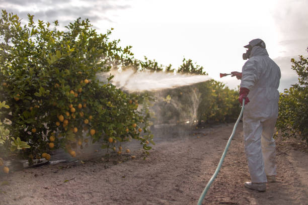 Best Affordable Pest Control Services  in Milan, MO