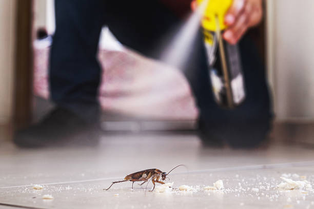 Wildlife Control Services in Milan, MO